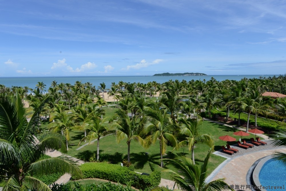 DSC_2599_01.JPG