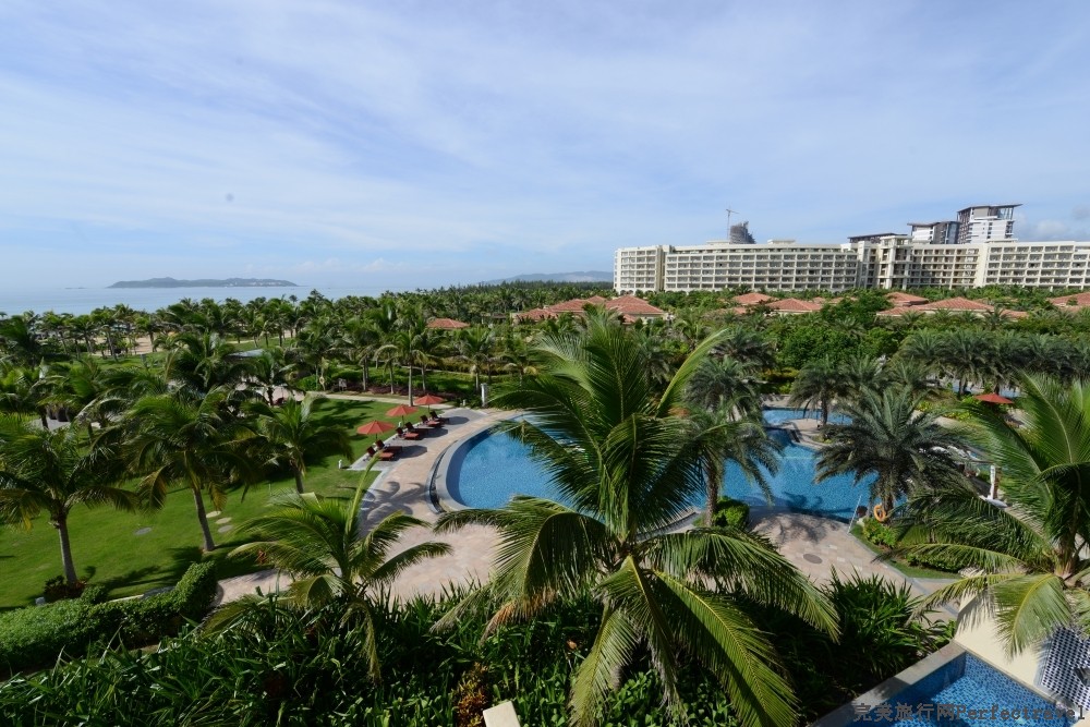 DSC_3130_01.JPG