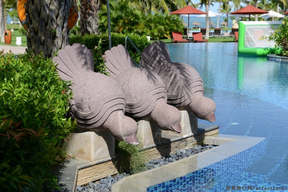 DSC_2680_01.JPG