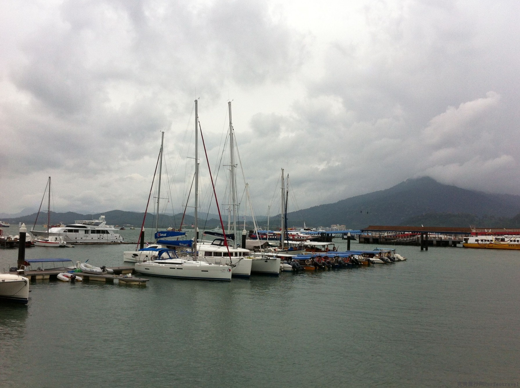 IMG_4375.jpg