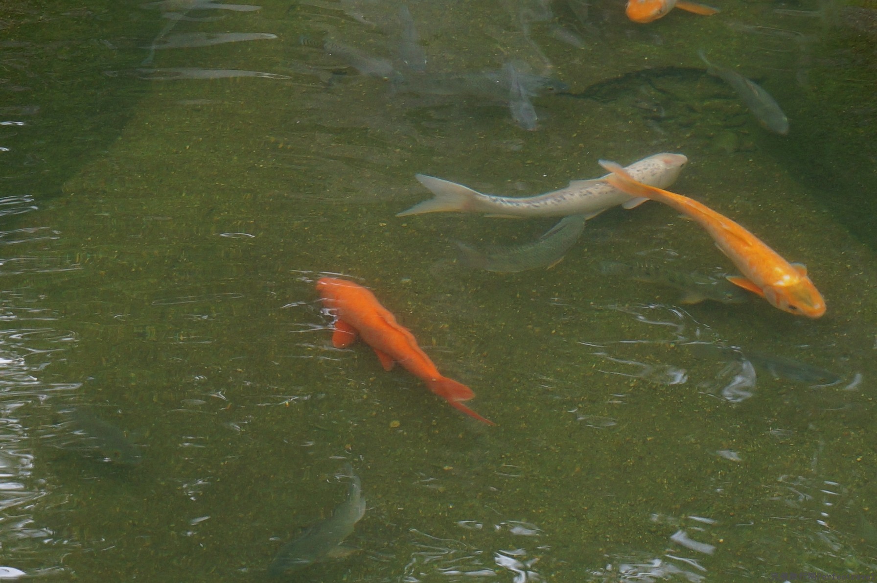 DSC02609.JPG
