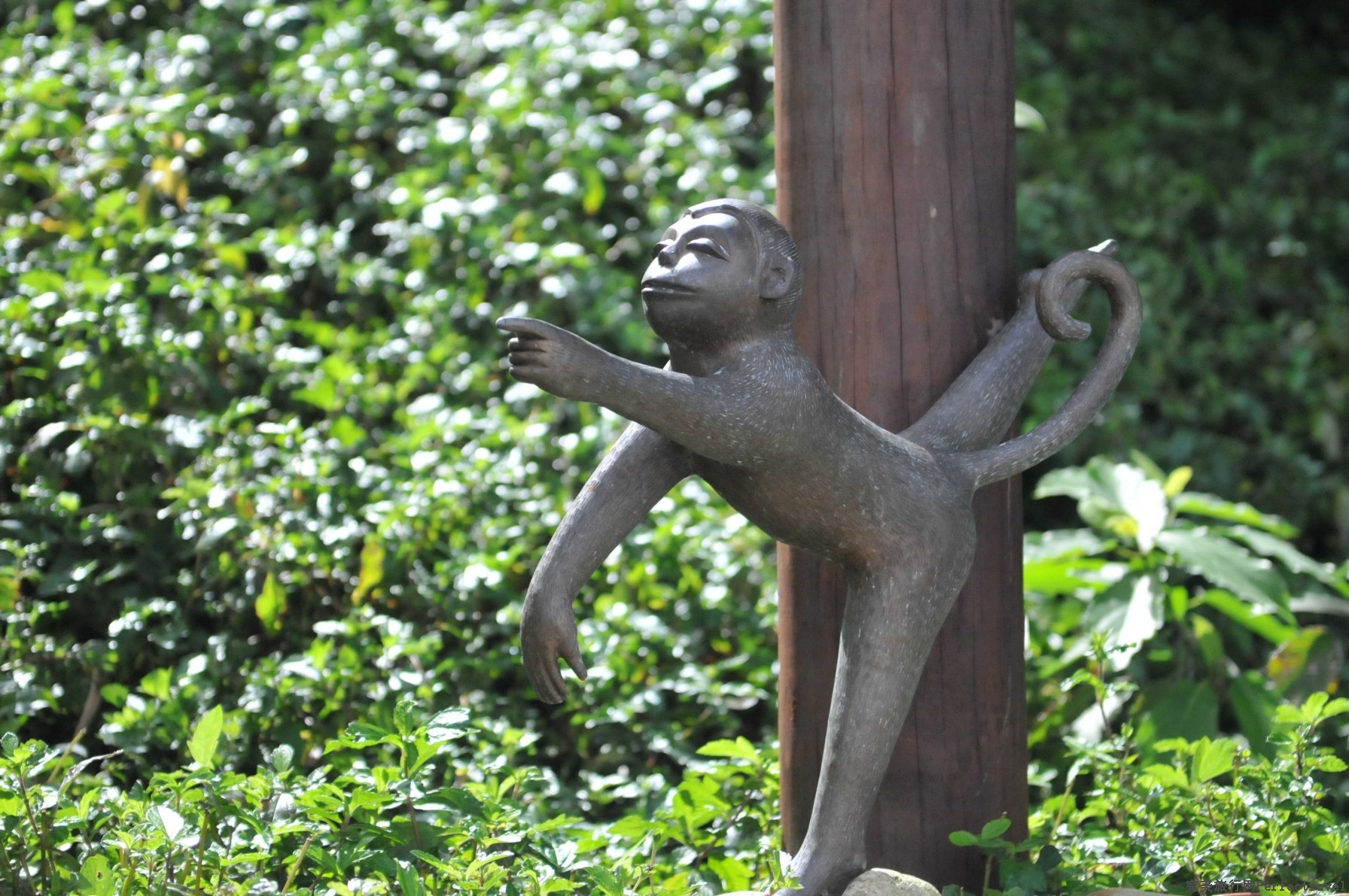 DSC_4161.jpg