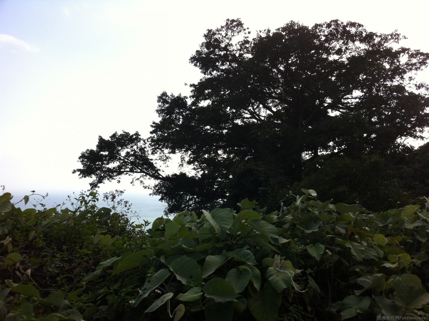 IMG_8888.jpg