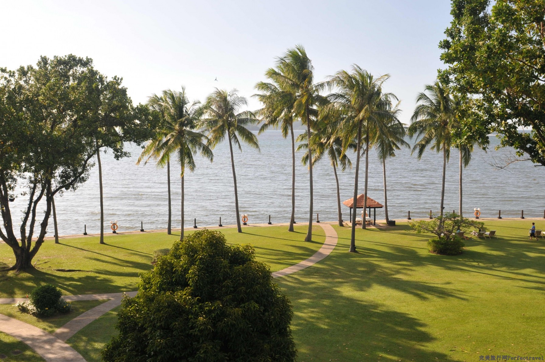 DSC_55901.jpg