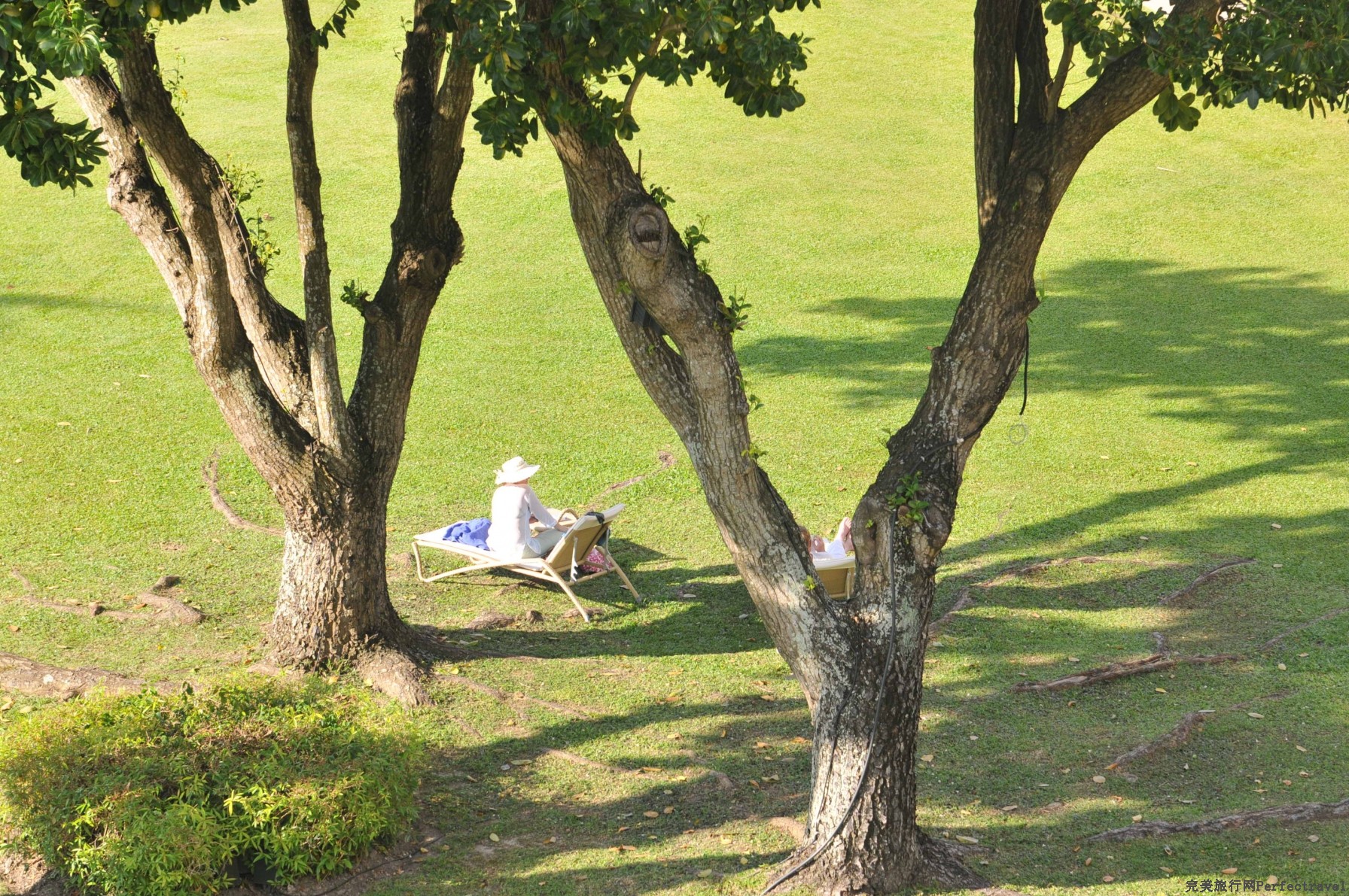 DSC_55921.jpg