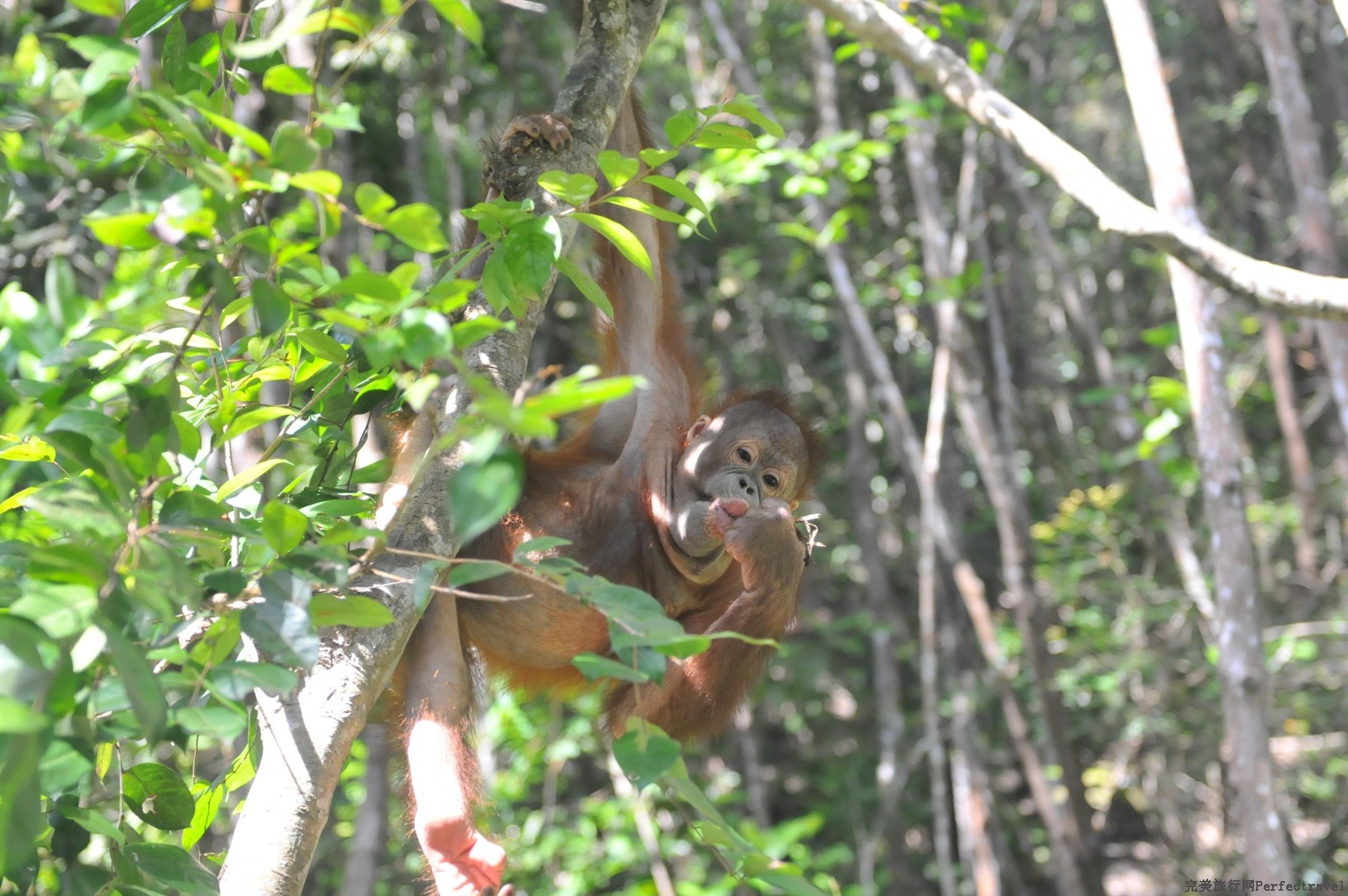 DSC_6070.jpg