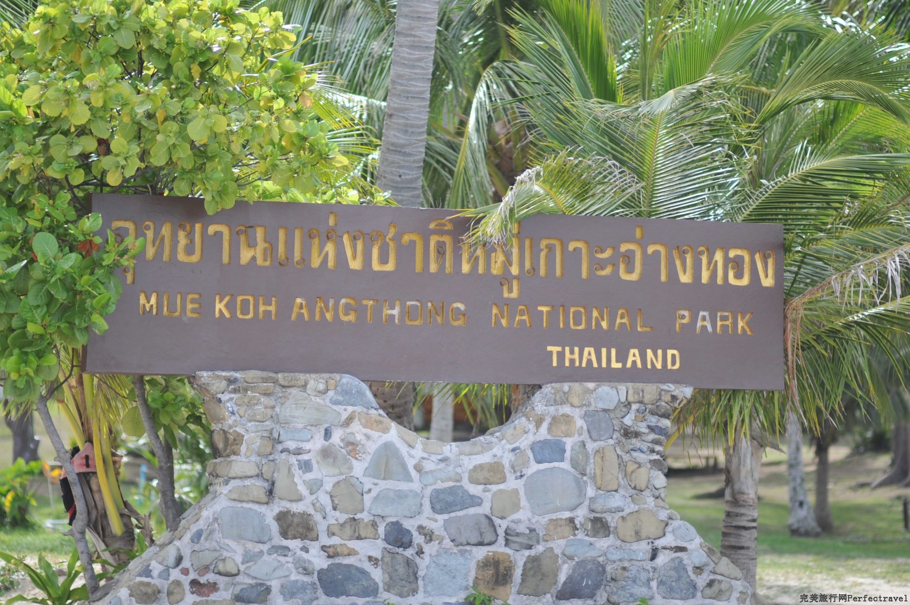 DSC_19201.jpg