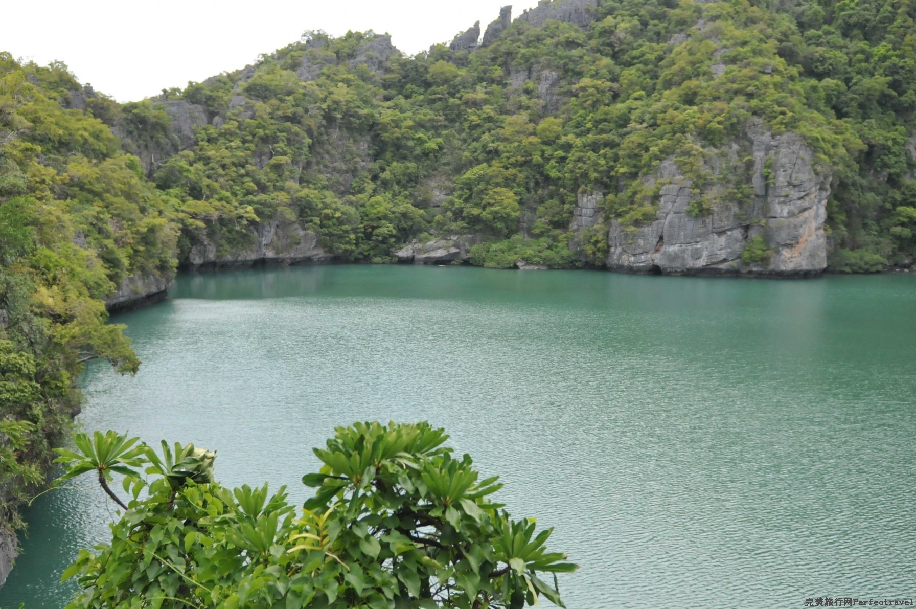 DSC_18071.jpg