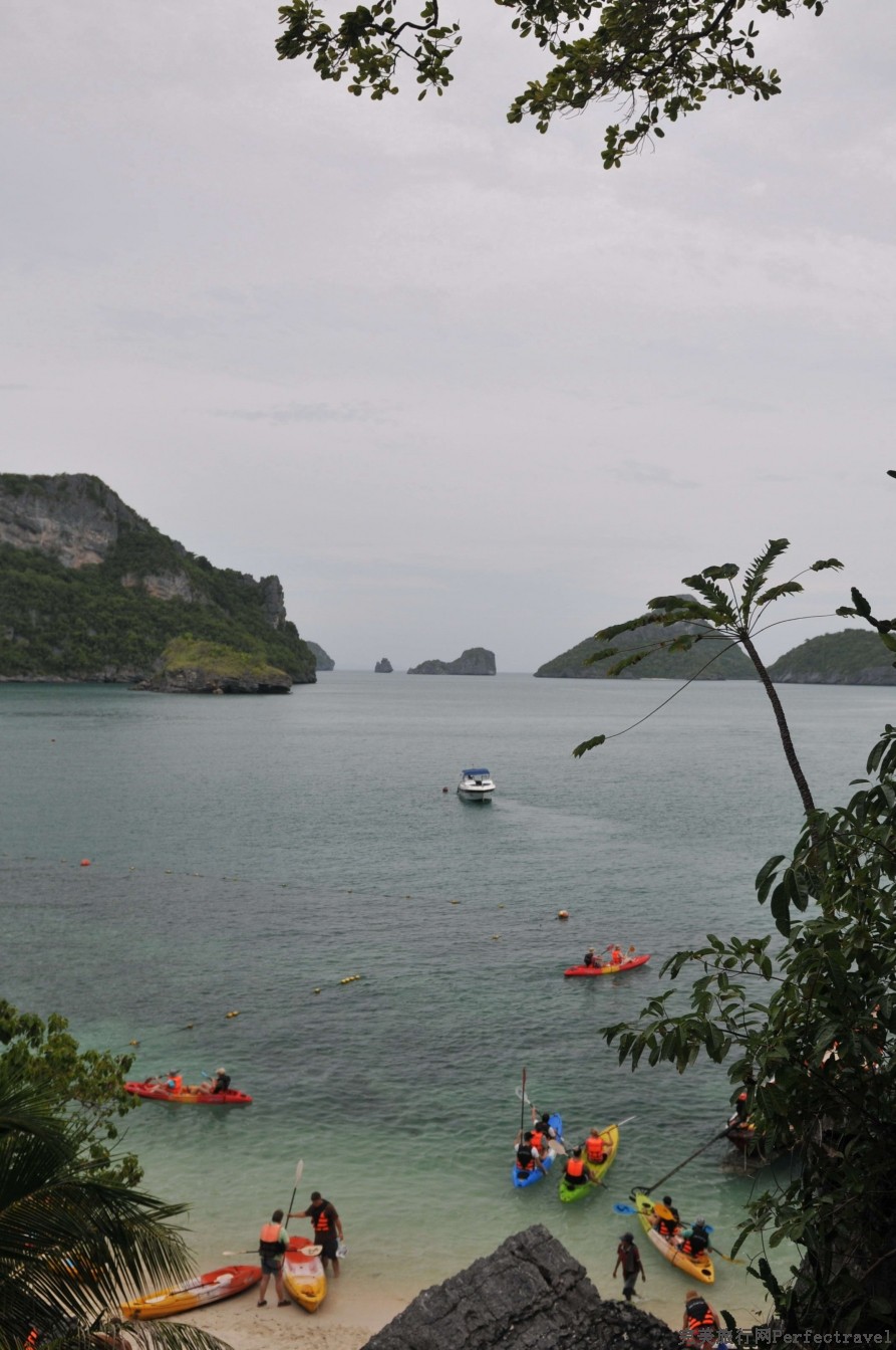 DSC_18271.jpg