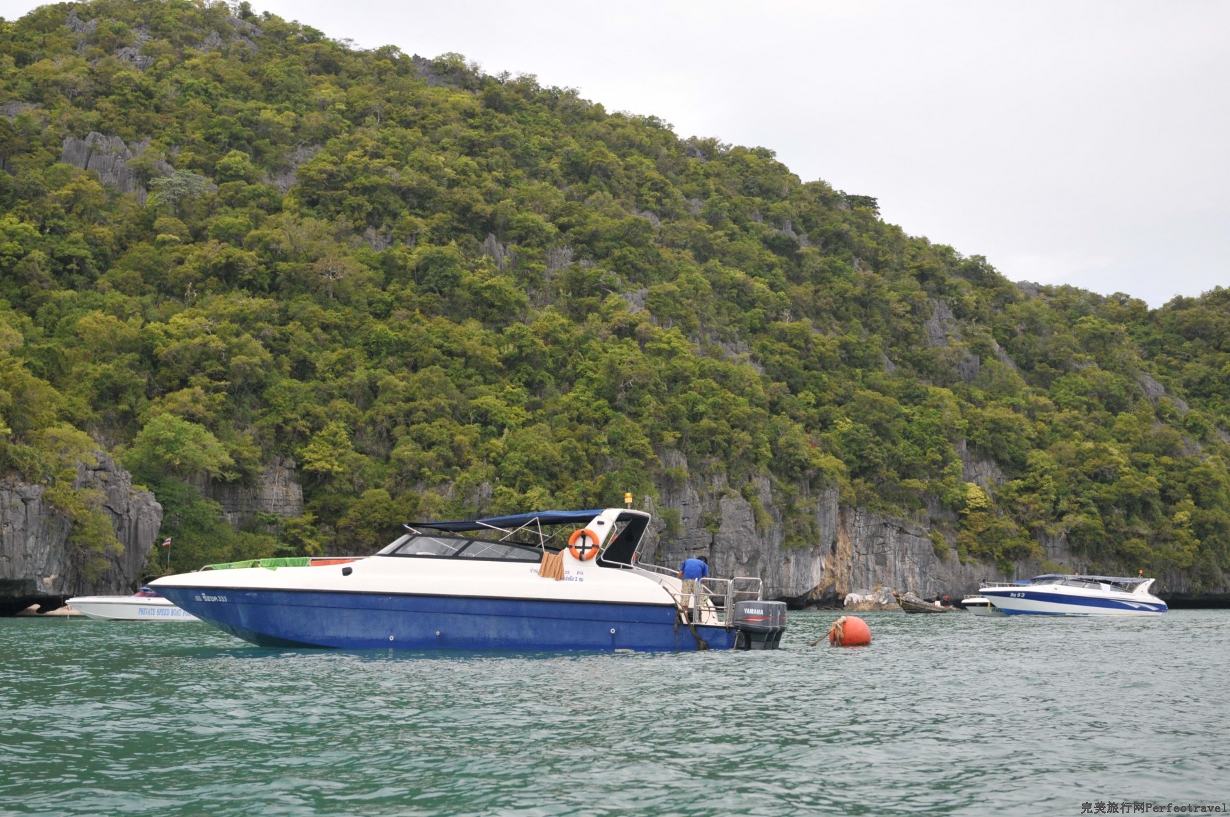 DSC_18481.jpg