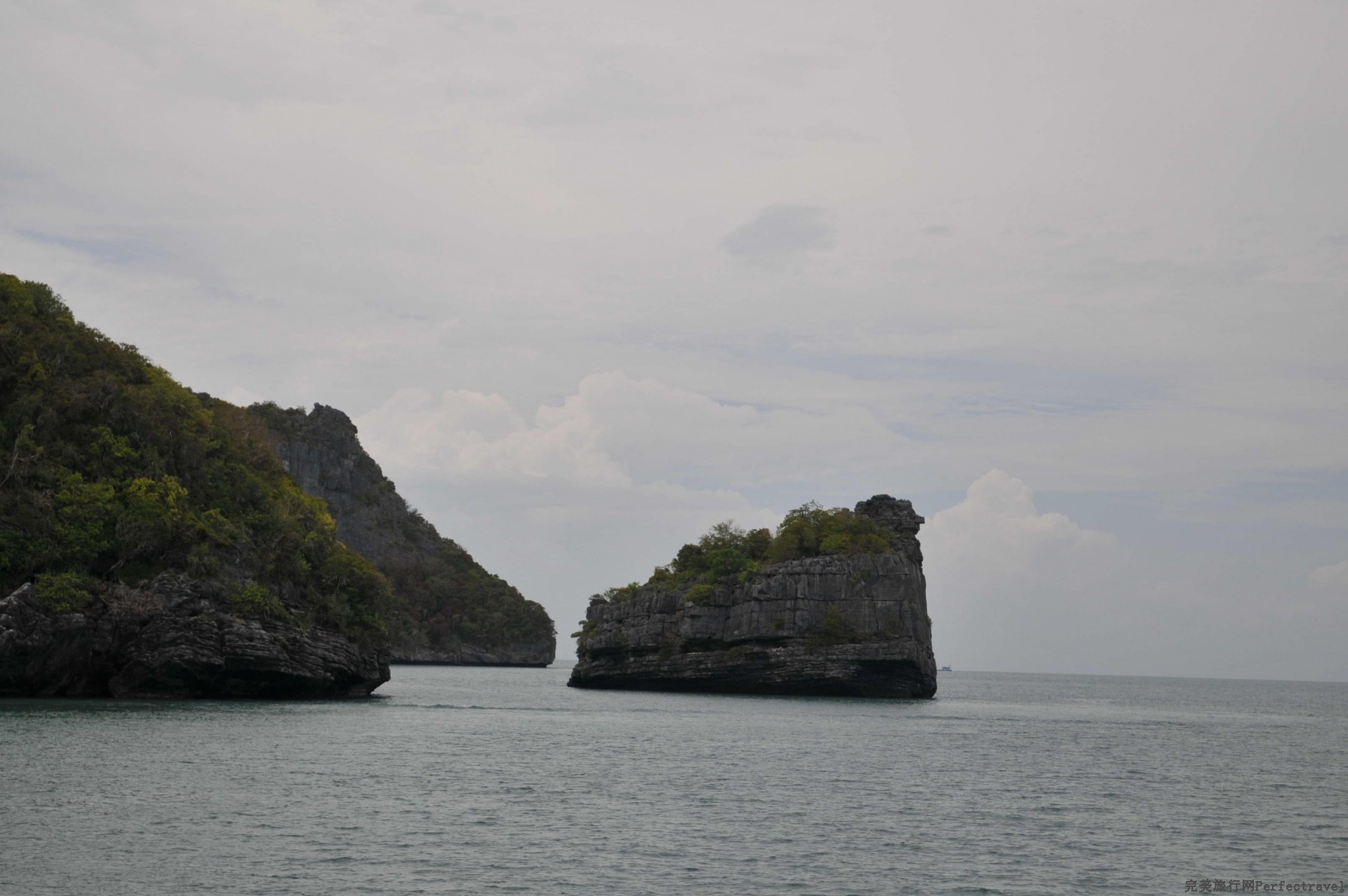 DSC_18781.jpg