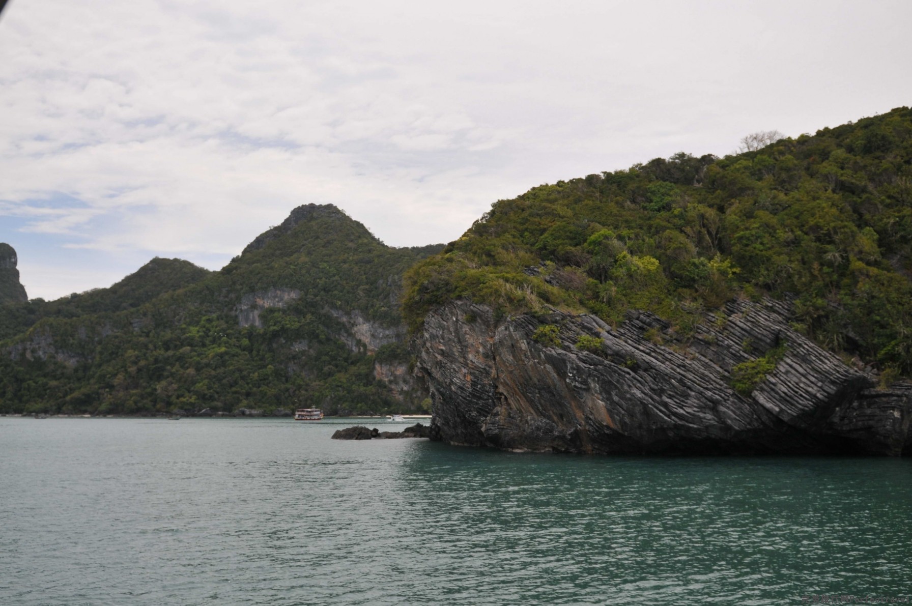 DSC_18801.jpg