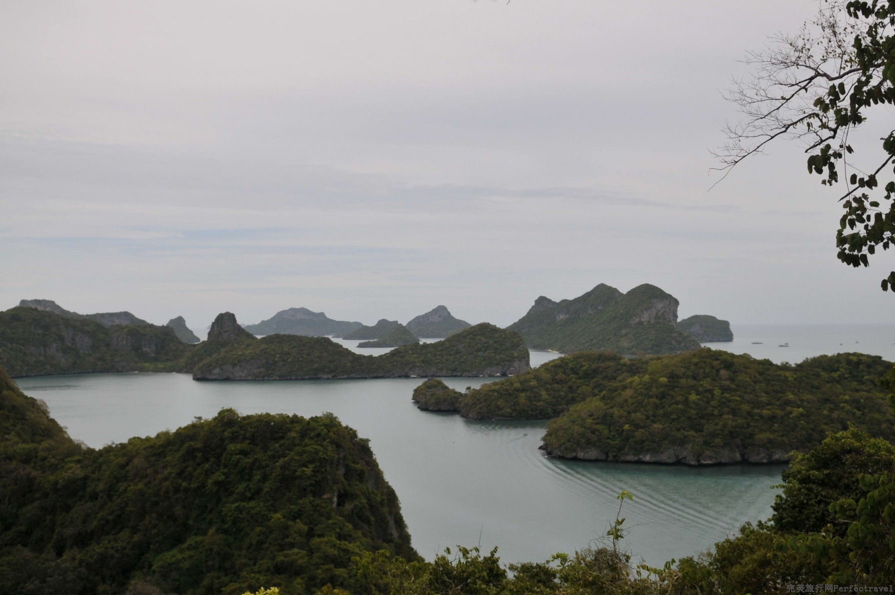 DSC_18921.jpg