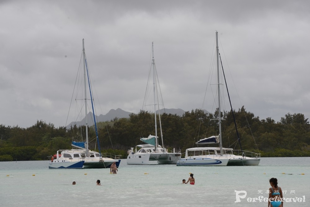 DSC_1764.JPG