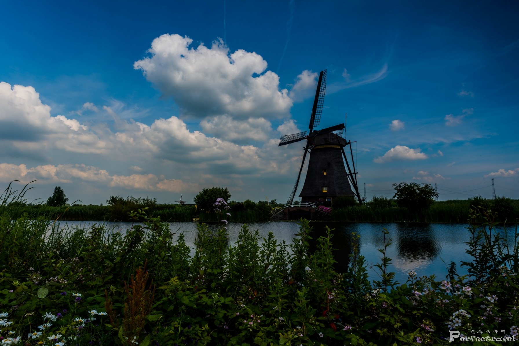 DSC_4949_С.jpg