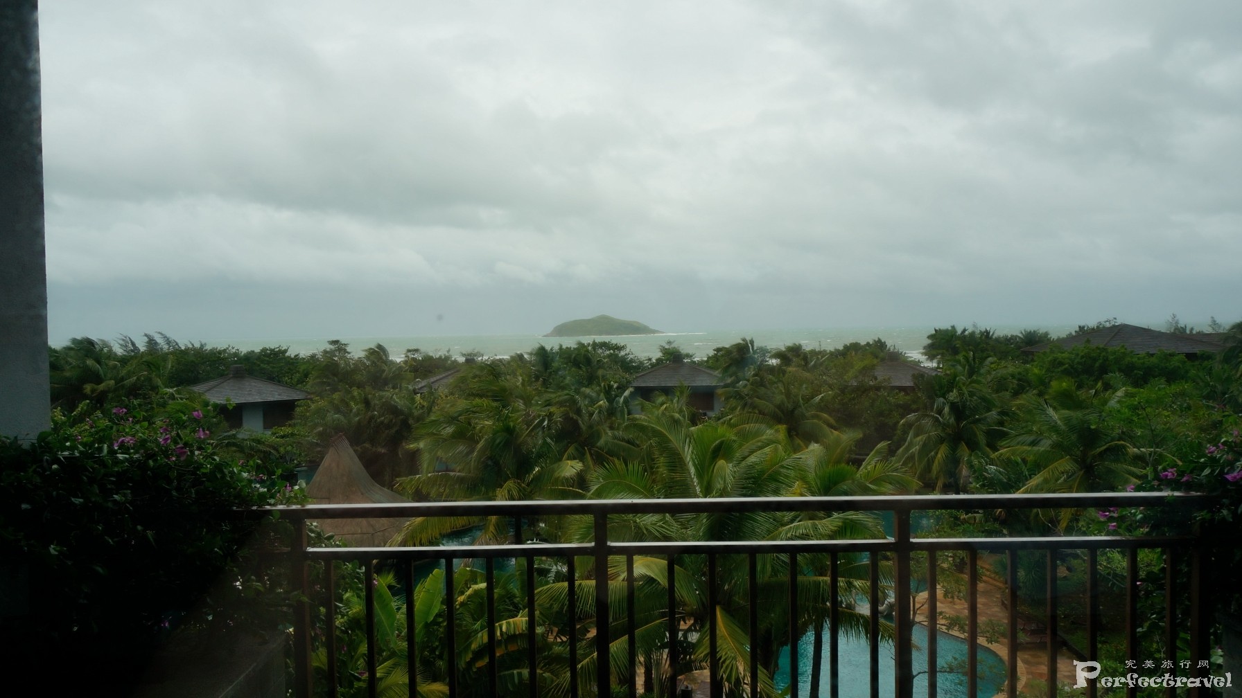 DSC07896.JPG