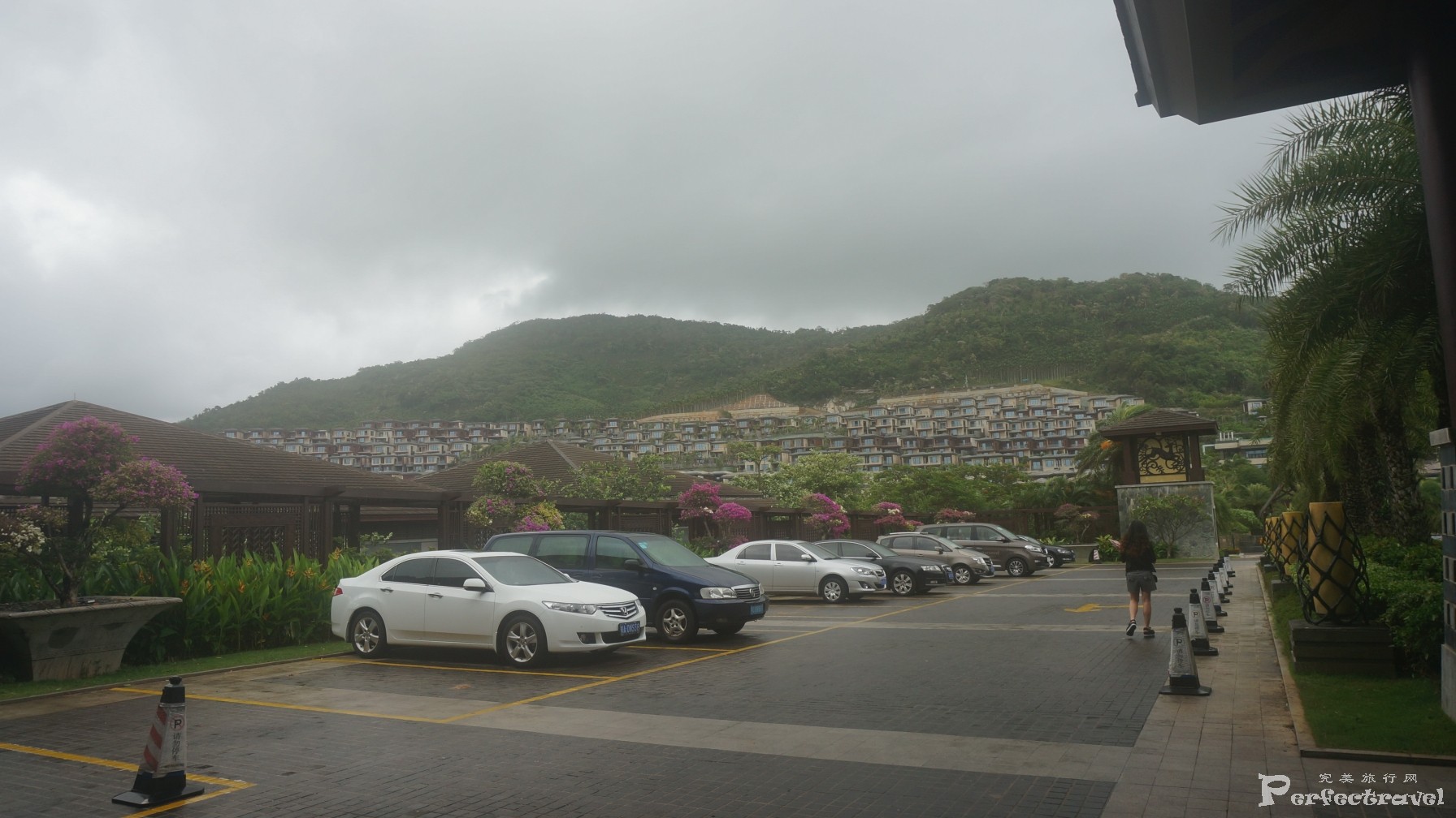 DSC07904.JPG