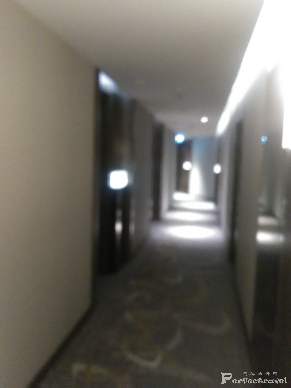 IMG_20150924_130353.jpg