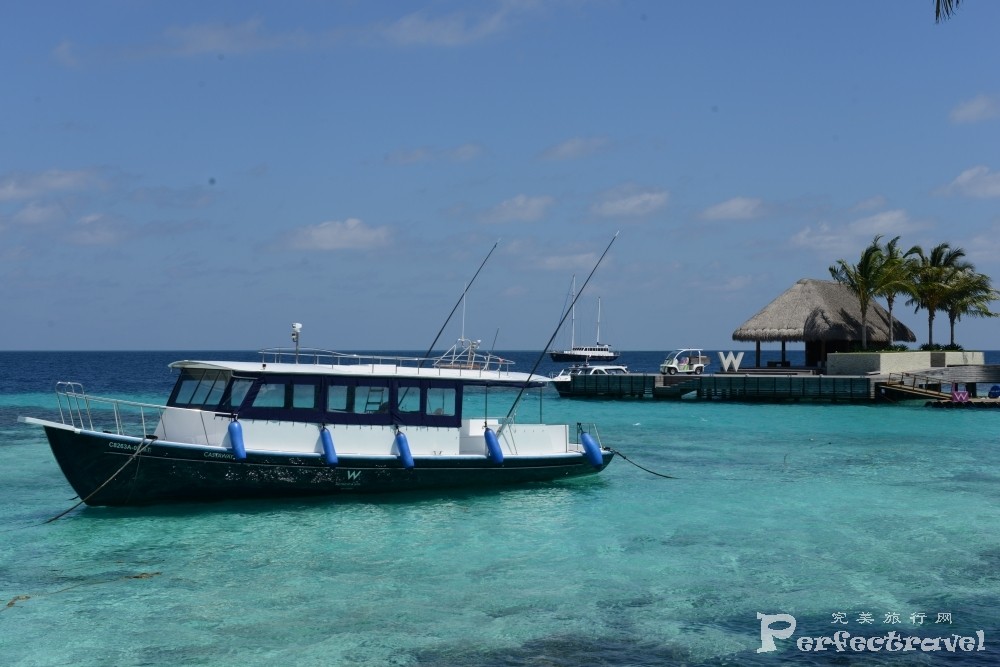 DSC_0870.JPG