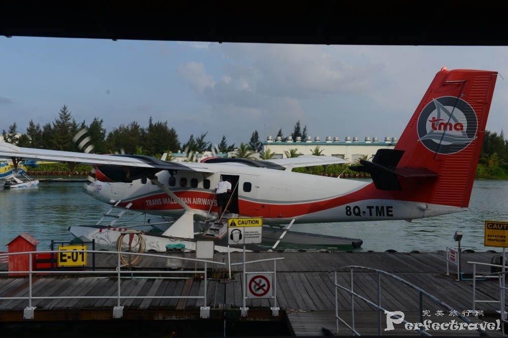 DSC_0664.JPG