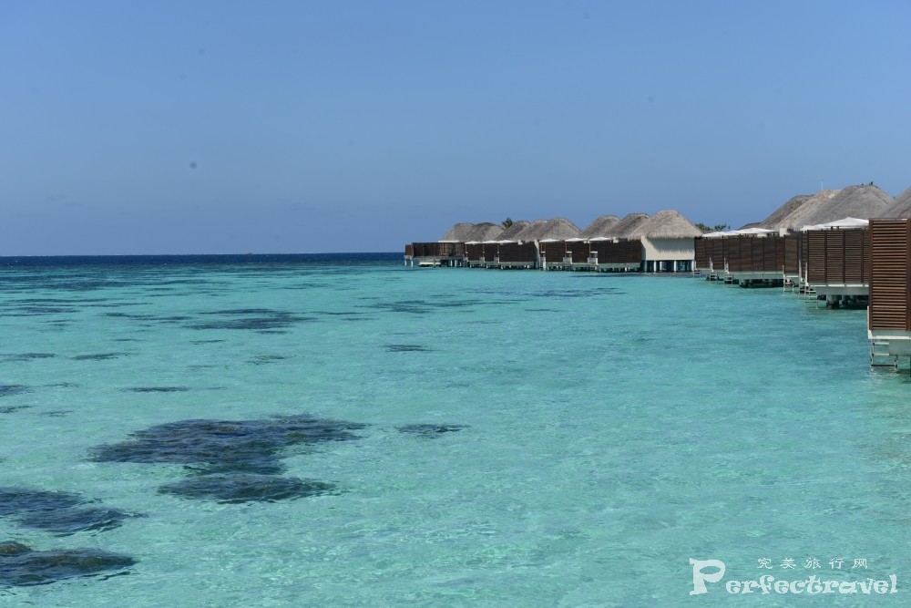 DSC_0812.JPG