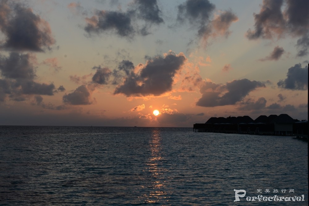 DSC_0919.JPG