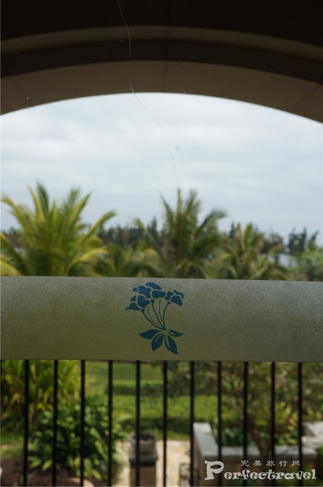 DSC08382.jpg
