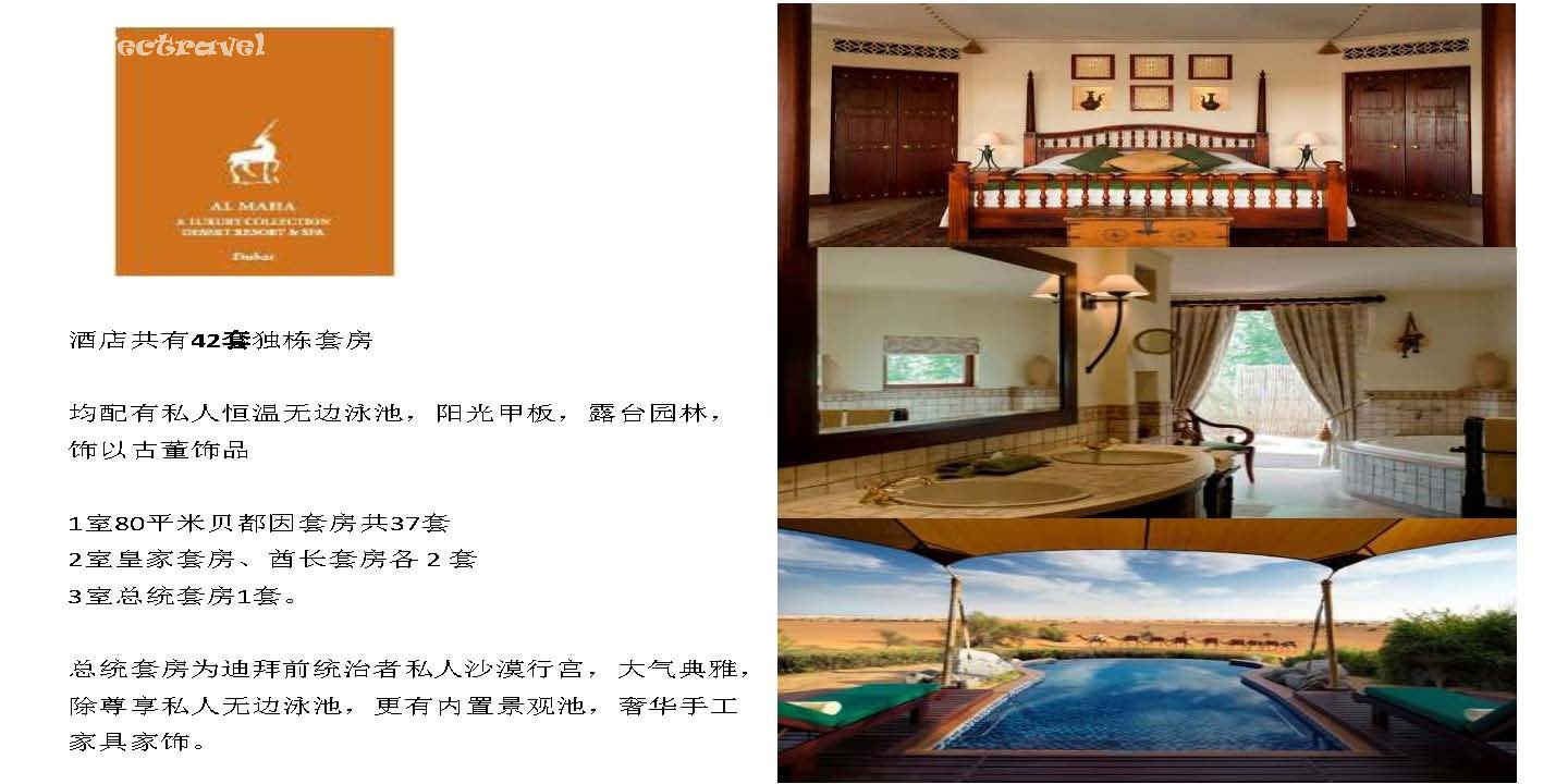 Al Maha A Luxury Collection Desert Resort and SpaɳĮƵ飨ͻ棩_Page_03.jpg