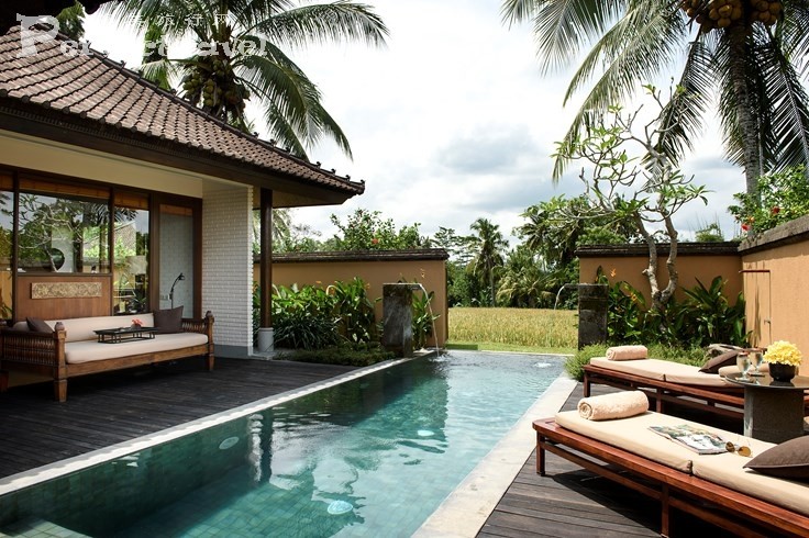 Chedi06.jpg