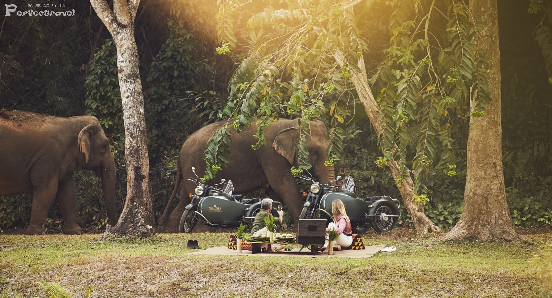 anantaragoldentriangleelephantcampandresortrecreationfacilitypicnicsidecarscoupl.jpg