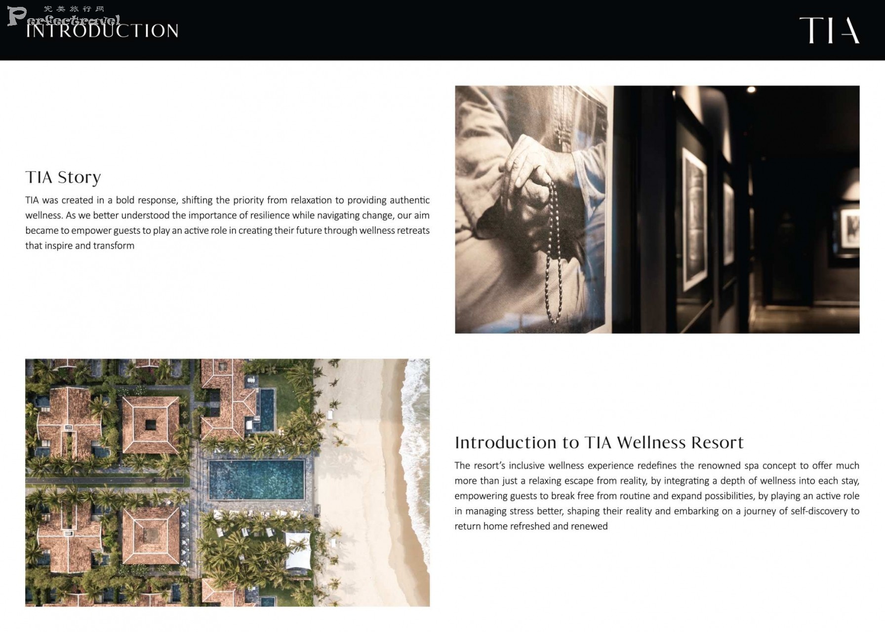 TIA - PORTFOLIO 2025_Page_03.jpg