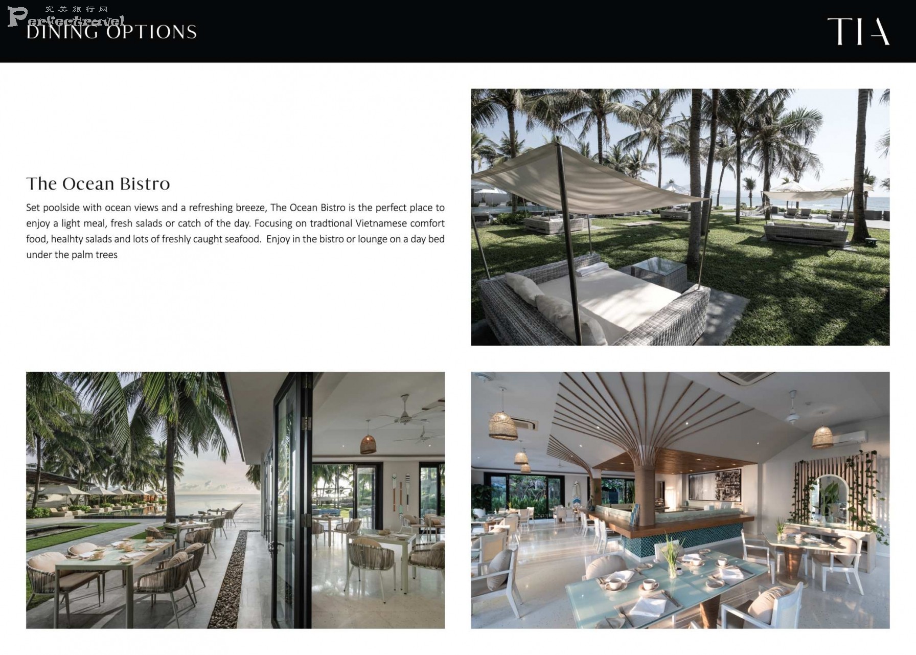 TIA - PORTFOLIO 2025_Page_31.jpg