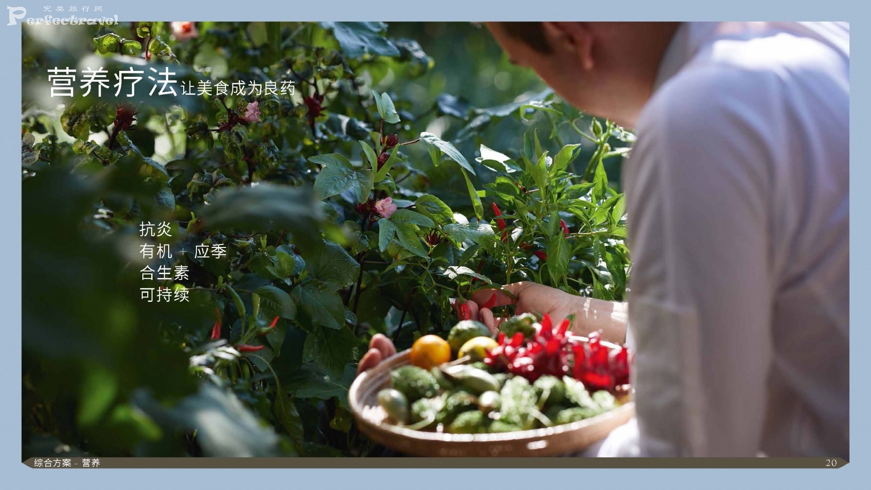 RAKxa Presentation_Chinese_Page_20.jpg